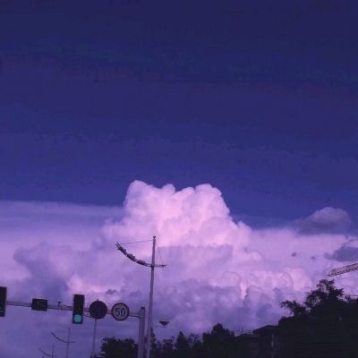 雅博app官网下载